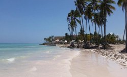 Bavaro Green - Dominikánská republika - Punta Cana  - Cabeza de Toro