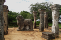 Cejlon - tropický ráj zvířat - Srí Lanka