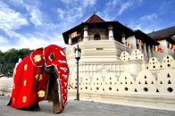 Nejcennější skvosty Srí Lanky s pobytem u Indického oceánu - Srí Lanka