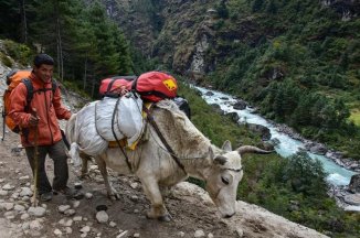 Nepál - Kanchenjunga Trek - Nepál