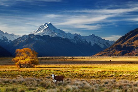 Nový Zéland a velká města Austrálie - Nový Zéland