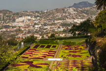Ostrov květů a vůní Madeira - Portugalsko