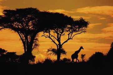 Safari okruh Keňou s pobytem u Indického oceánu - Keňa