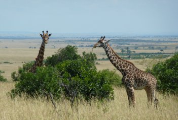 Samburu, jezero Baringo, jezero Nakuru a Masai Mara Safari - Keňa