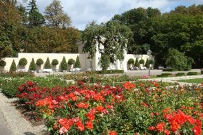 Slavnost růží v Badenu a Schönbrunn - Rakousko