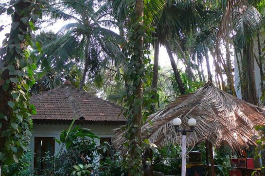 Villa Goesa - Indie - Goa