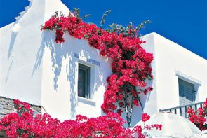 Yria Hotel Resort - Řecko - Paros - Parikia