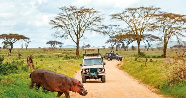 2 Dny Na Safari Selous S Relaxem Na Zanzibaru