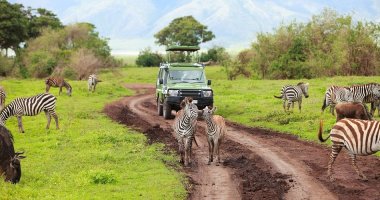 3 Dny Na Safari Selous S Relaxem Na Zanzibaru