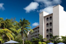 Almond Casuarina - Barbados - Bridgetown