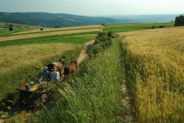 Banátské putování - Rumunsko