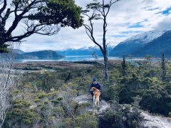 Argentina - Patagonie