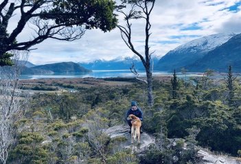 Argentina - Patagonie - Argentina - Patagonie