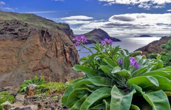 Madeira - poznávací