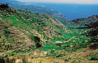 Madeira s hvězdicovými výlety