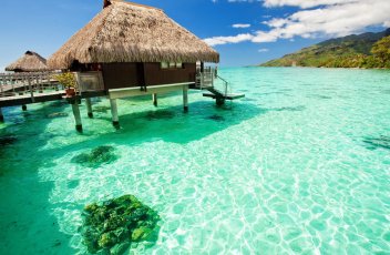 Nový Zéland a Moorea (Tahiti)