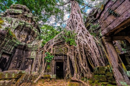 Saigon, Angkor a oddych v Kambodži - Kambodža