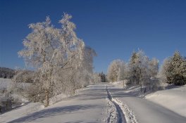 Šumava na sněžnicích - Česká republika - Šumava